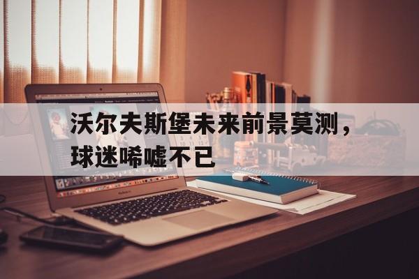 沃尔夫斯堡未来前景莫测，球迷唏嘘不已